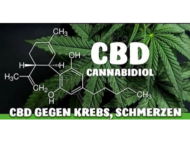 CBD-Shop: CBD Gfeller