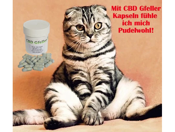 CBD-Shop: CBD Gfeller