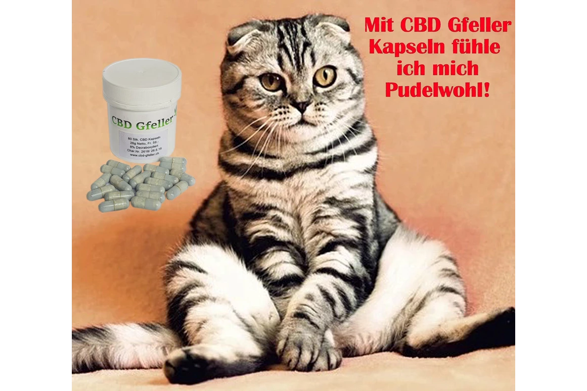 CBD-Shop: CBD Gfeller