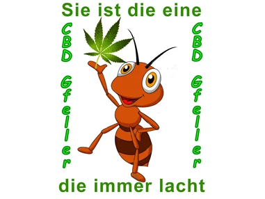 CBD-Shop: CBD Gfeller