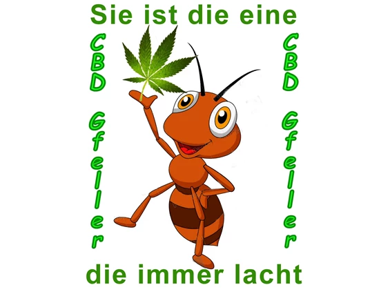 CBD-Shop: CBD Gfeller