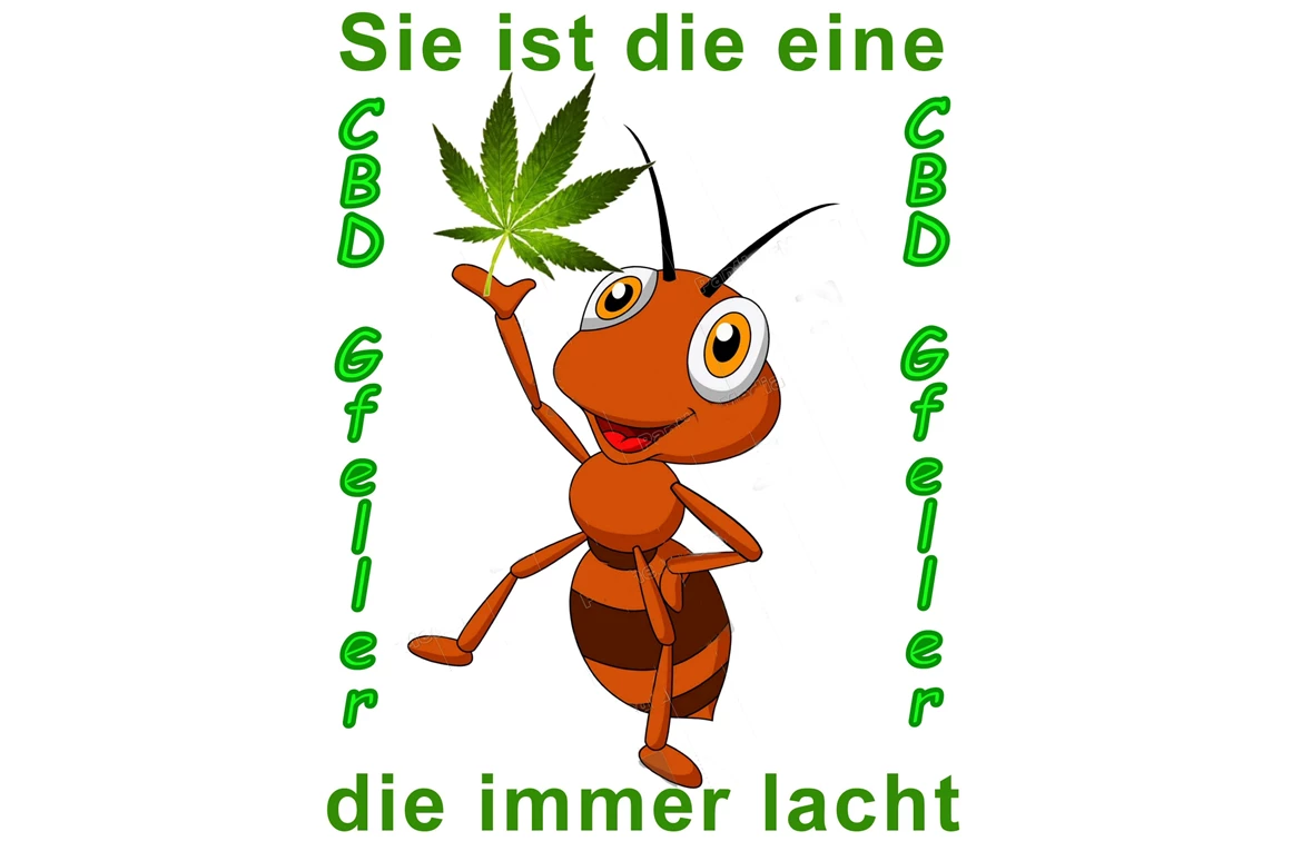 CBD-Shop: CBD Gfeller