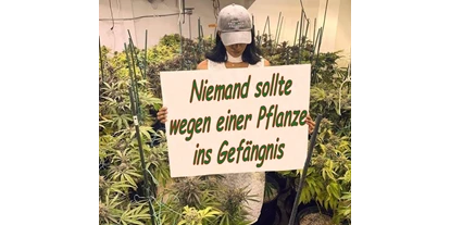 Negozi di canapa - Berna - CBD Gfeller