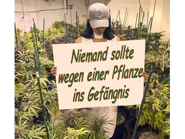 CBD-Shop: CBD Gfeller
