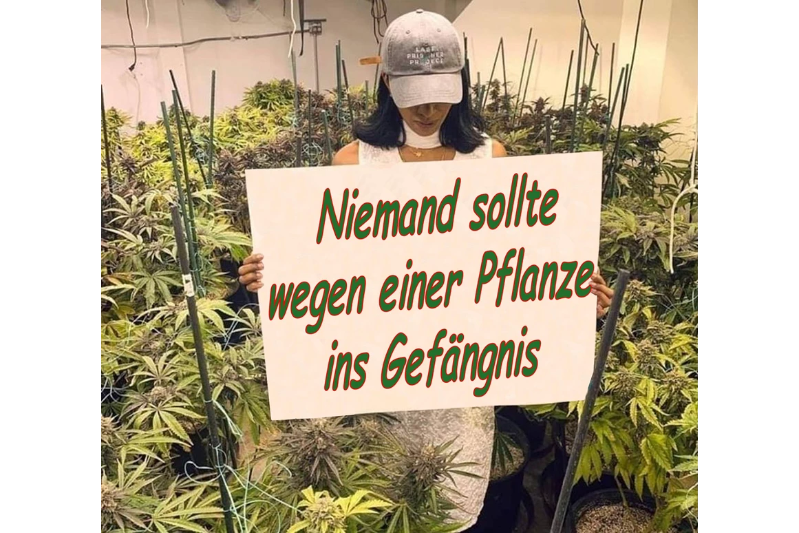 CBD-Shop: CBD Gfeller