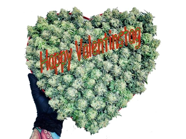 CBD-Shop: CBD Gfeller
