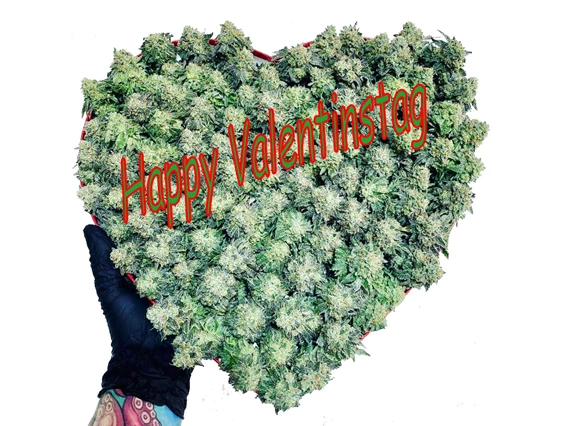 CBD-Shop: CBD Gfeller