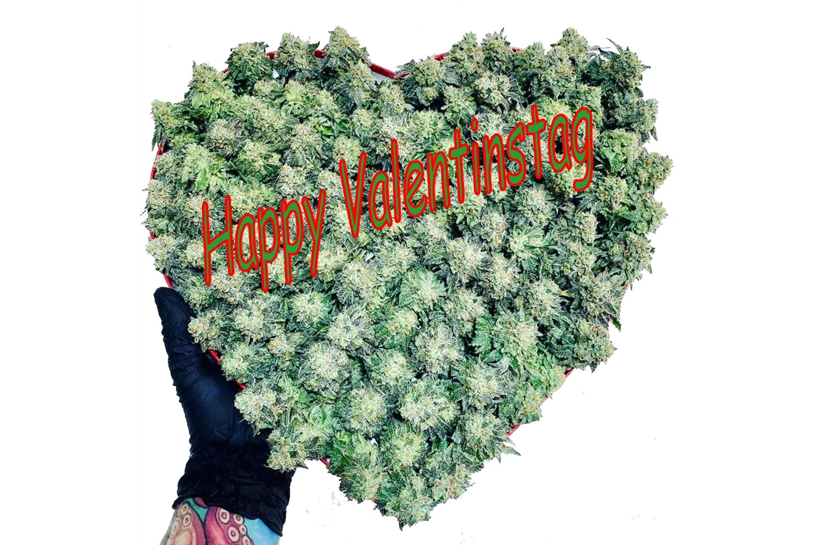 CBD-Shop: CBD Gfeller