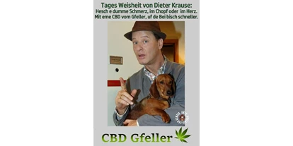 Negozi di canapa - Berna - CBD Gfeller