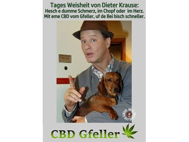 CBD-Shop: CBD Gfeller