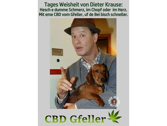 CBD-Shop: CBD Gfeller