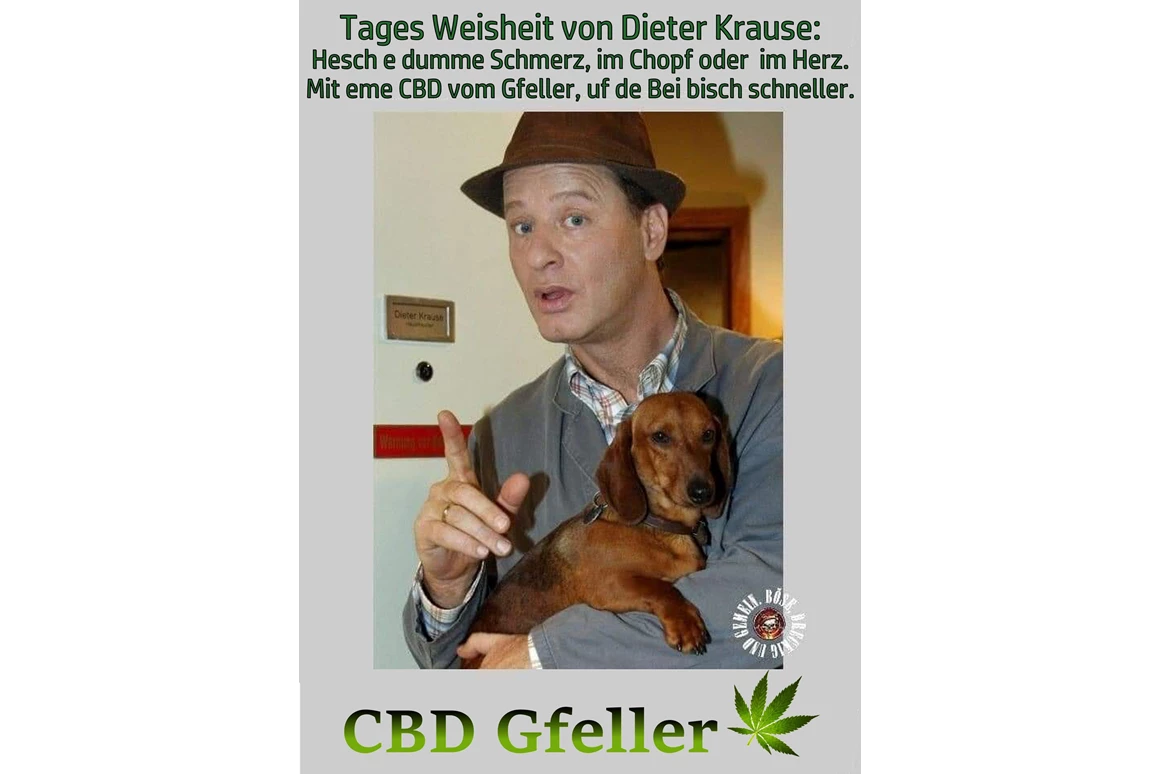 CBD-Shop: CBD Gfeller
