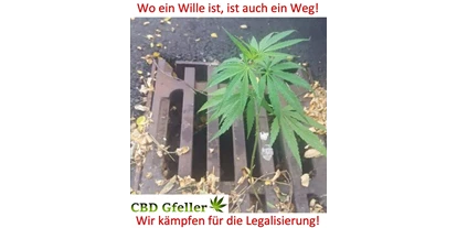 Negozi di canapa - Berna - CBD Gfeller