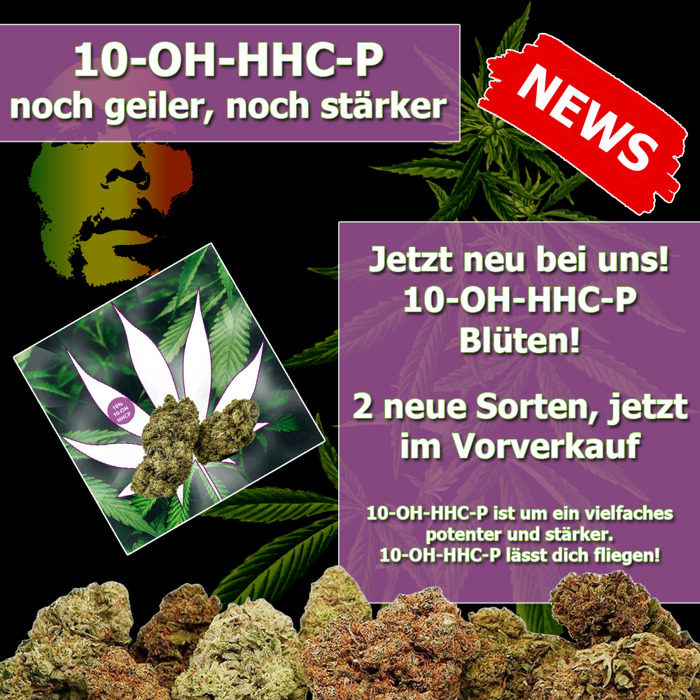 CBD-Shop: CBD Hexe Onlinehandel