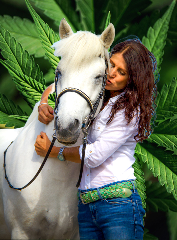 Magasins de chanvre - L'Autriche - „Balance Plus ist das Ergebnis meiner über 30-jährigen Tätigkeit im Pferde-Bodywork. Mit den hochwertigen Wirkstoffen in praktischer Gel-Form können Therapeuten, Trainer aber auch Pferdebesitzer selbst die Leistungsfähigkeit ihrer Lieblinge zusätzlich stärken und später ihr Wohlbefinden im verdienten Ruhestand fördern - Because you love your horse.“  - ImPuls Methode Balance Plus CBD Gel für Pferde - CBD Horses